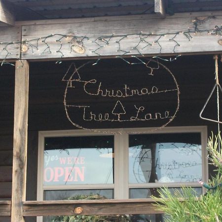 Rural Life On A Real Christmas Tree Farm! Hallmark Experience! 欧扎克 外观 照片