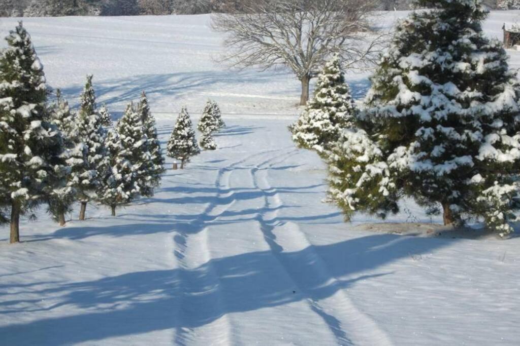 Rural Life On A Real Christmas Tree Farm! Hallmark Experience! 欧扎克 外观 照片