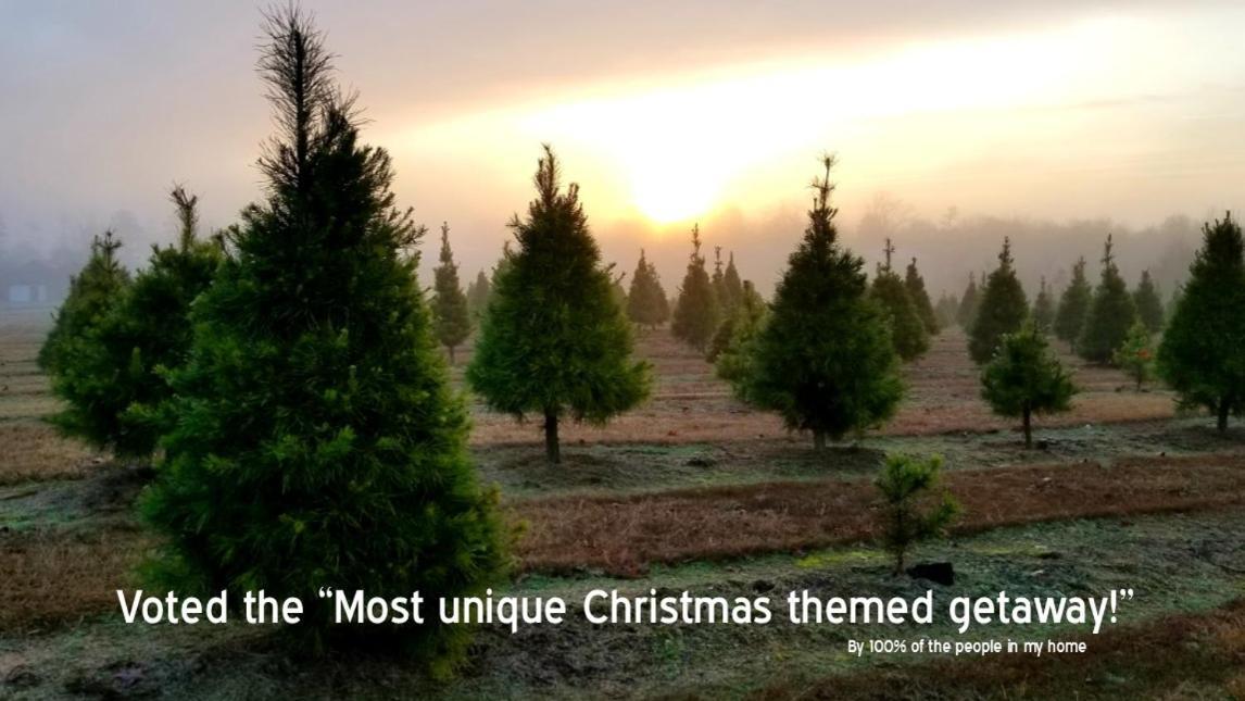 Rural Life On A Real Christmas Tree Farm! Hallmark Experience! 欧扎克 外观 照片