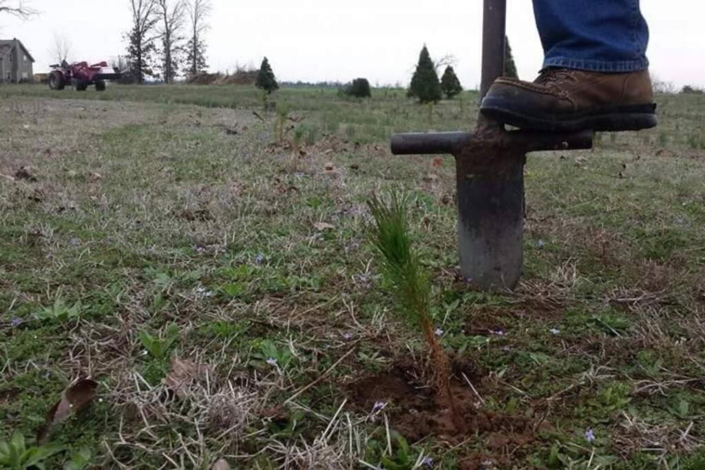 Rural Life On A Real Christmas Tree Farm! Hallmark Experience! 欧扎克 外观 照片