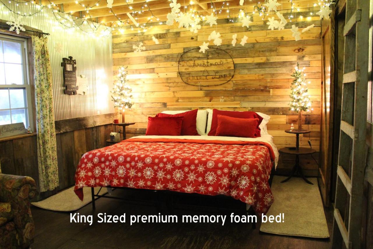 Rural Life On A Real Christmas Tree Farm! Hallmark Experience! 欧扎克 外观 照片