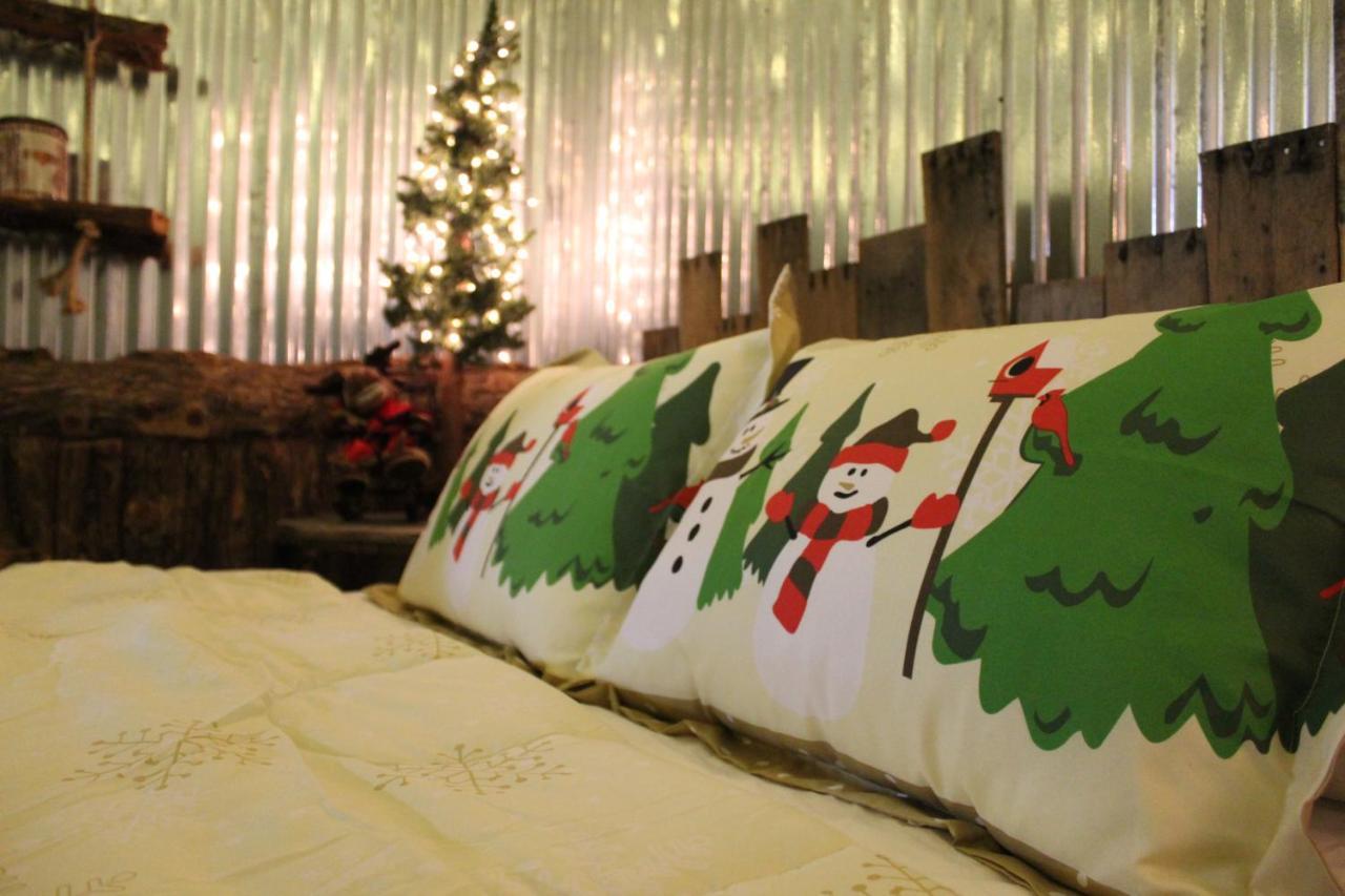 Rural Life On A Real Christmas Tree Farm! Hallmark Experience! 欧扎克 外观 照片
