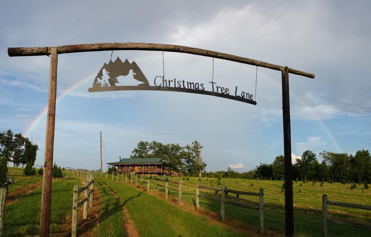 Rural Life On A Real Christmas Tree Farm! Hallmark Experience! 欧扎克 外观 照片