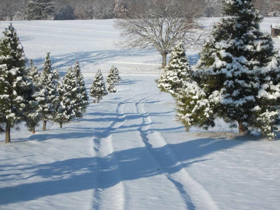 Rural Life On A Real Christmas Tree Farm! Hallmark Experience! 欧扎克 外观 照片