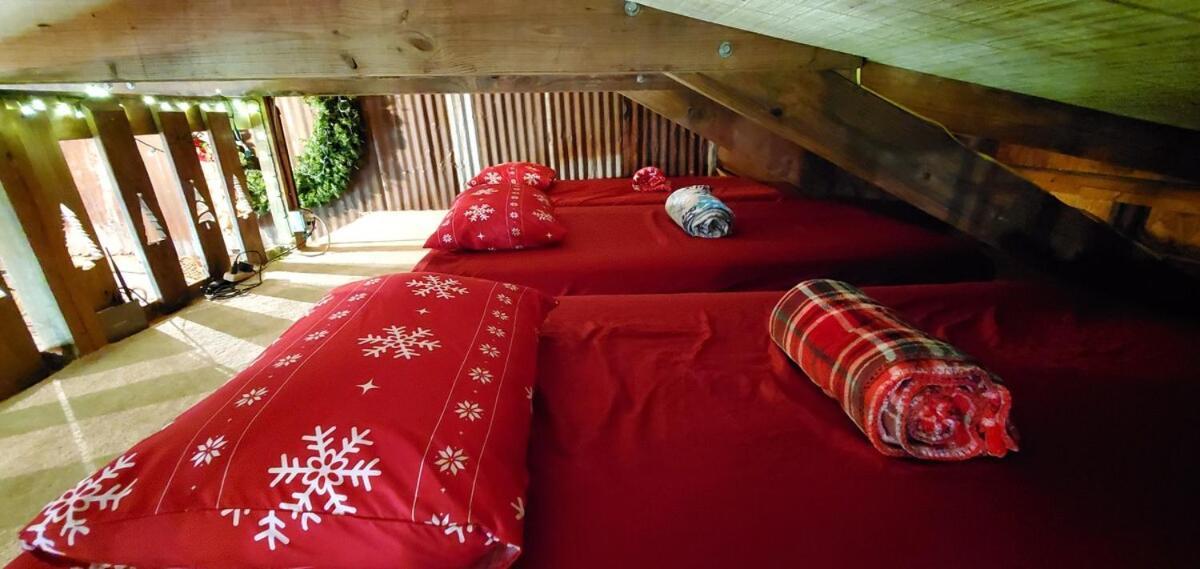 Rural Life On A Real Christmas Tree Farm! Hallmark Experience! 欧扎克 外观 照片