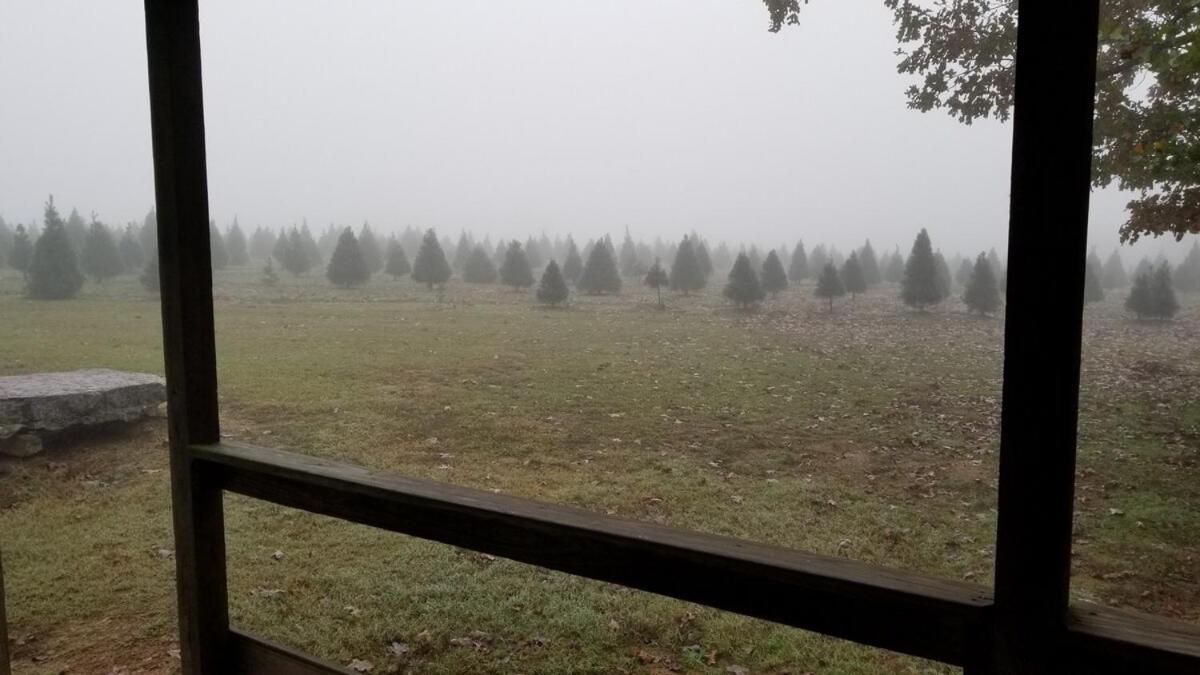 Rural Life On A Real Christmas Tree Farm! Hallmark Experience! 欧扎克 外观 照片