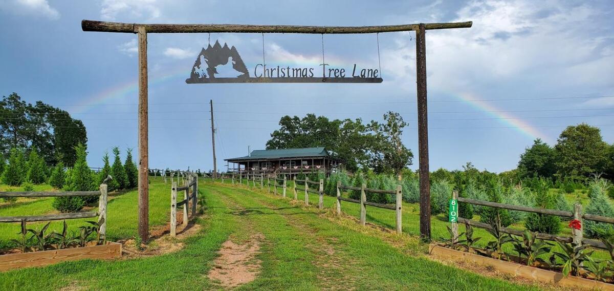 Rural Life On A Real Christmas Tree Farm! Hallmark Experience! 欧扎克 外观 照片