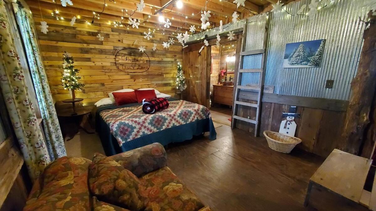 Rural Life On A Real Christmas Tree Farm! Hallmark Experience! 欧扎克 外观 照片